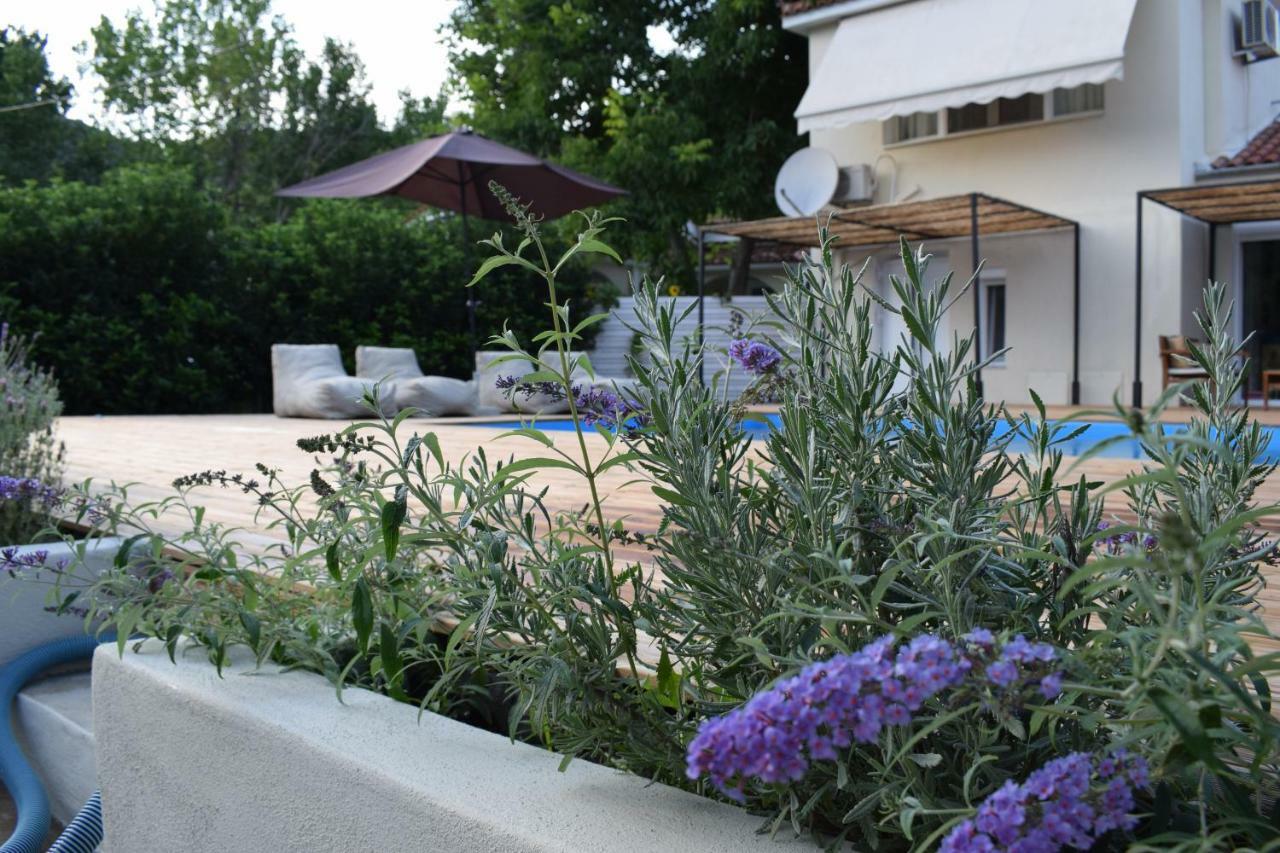 Serenity Luxury Villa, Skiathos Агия Параскеви Екстериор снимка